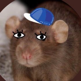 This is a rat in a hat with funny eyes hehe